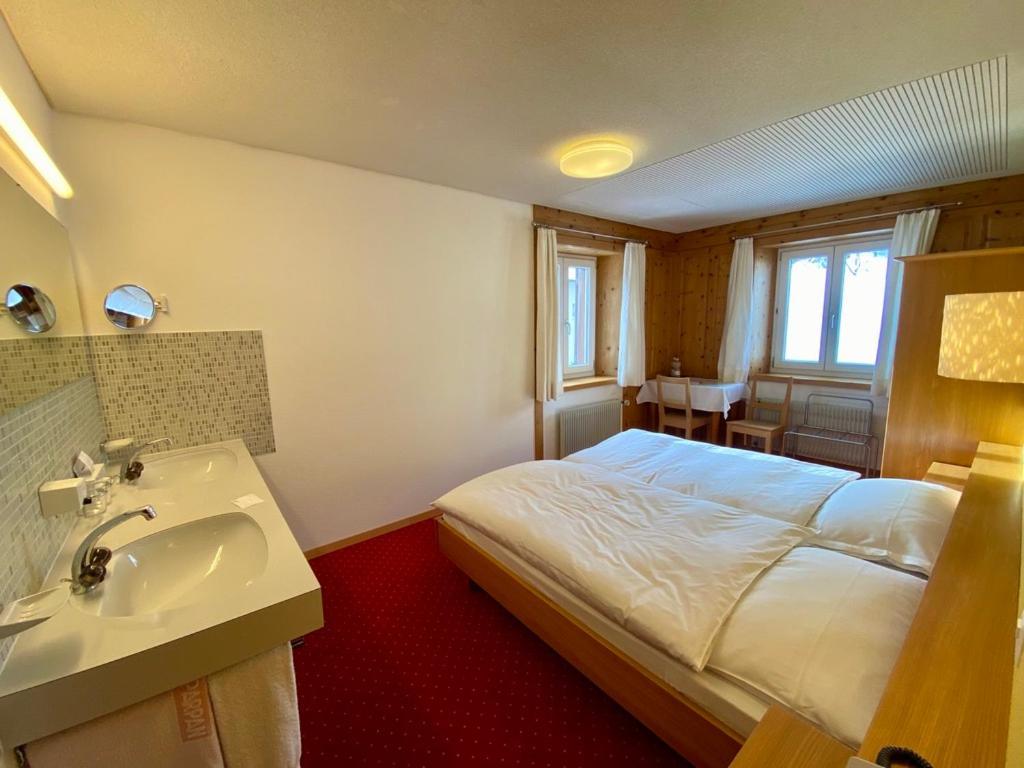 Hotel Alpina Parpan Εξωτερικό φωτογραφία