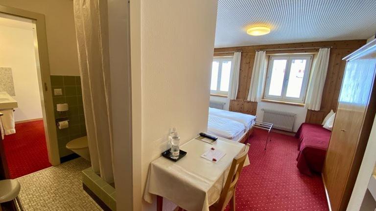 Hotel Alpina Parpan Εξωτερικό φωτογραφία