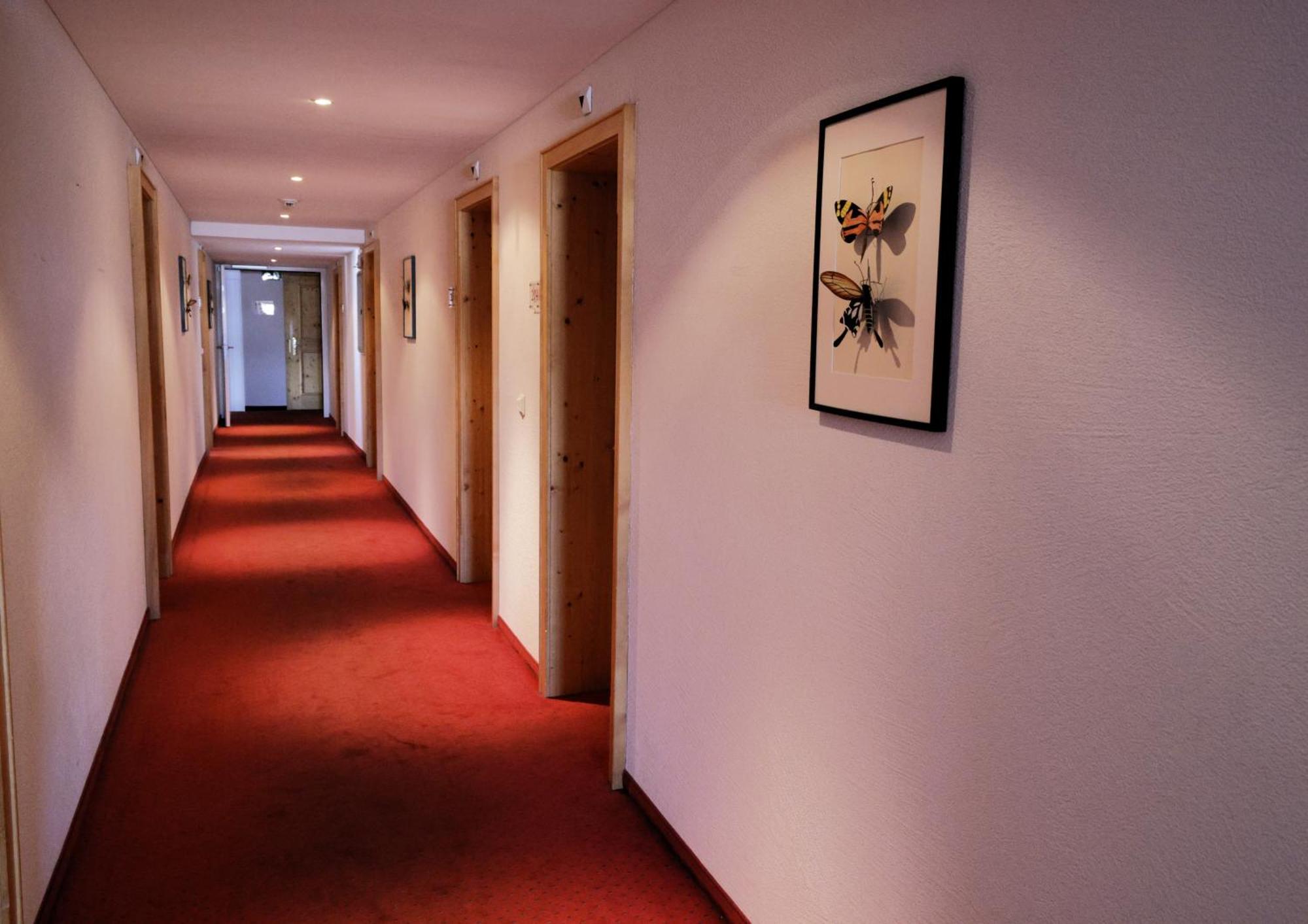 Hotel Alpina Parpan Εξωτερικό φωτογραφία